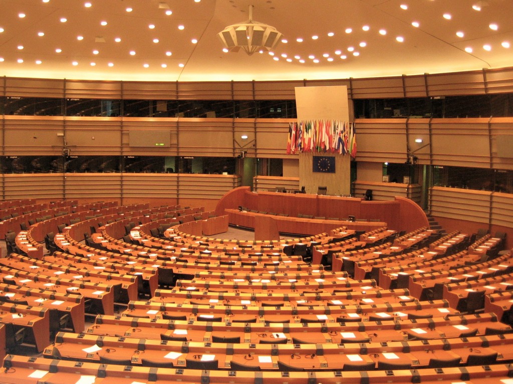 (43) EU parliamentary chamber