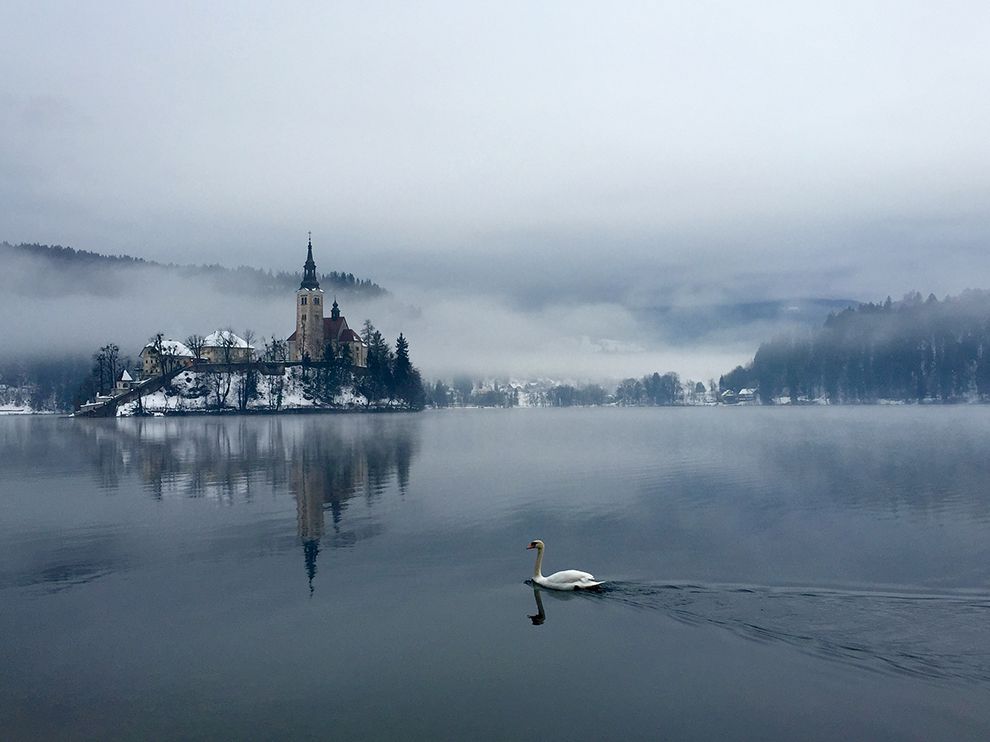 Among Slovenia's old-world charms is Lake Bled, with a picturesque island that comes complete with a medieval castle (Kostyantyn Steblovskyy / National Geographic)